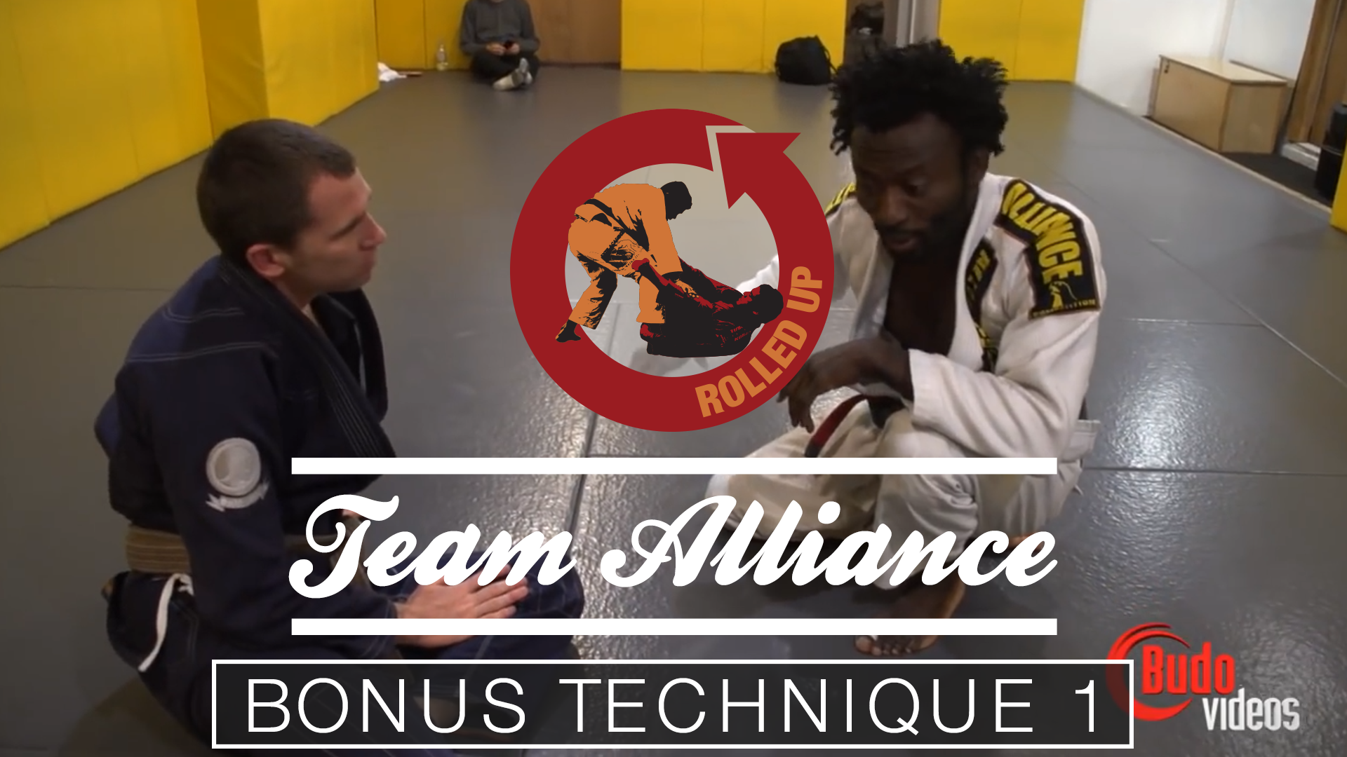 BONUS Babs Half Guard Counter