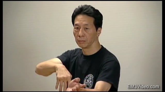 Mastering Wing Chun: Keys to Ip Man's Kung Fu Vol 3 with Samuel Kwok