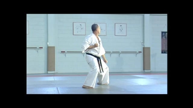 Kyokushinkai Karate Kata & Bunkai Vol 3 DVD243