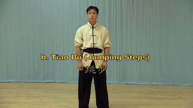 Shaolin Kung Fu Long Fist Int - 3