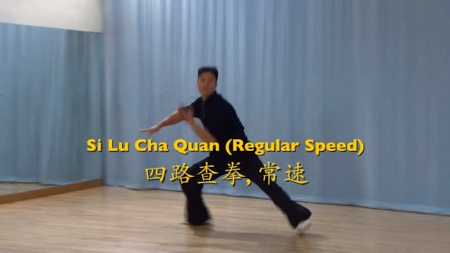 Shaolin Kung Fu Advanced 2 - 38