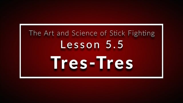 Art of Stick Fighting 5.5