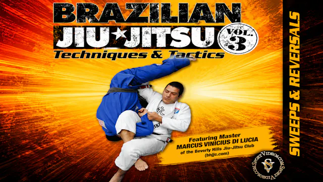 Sweeps and Reversals by Marcus Vinicius