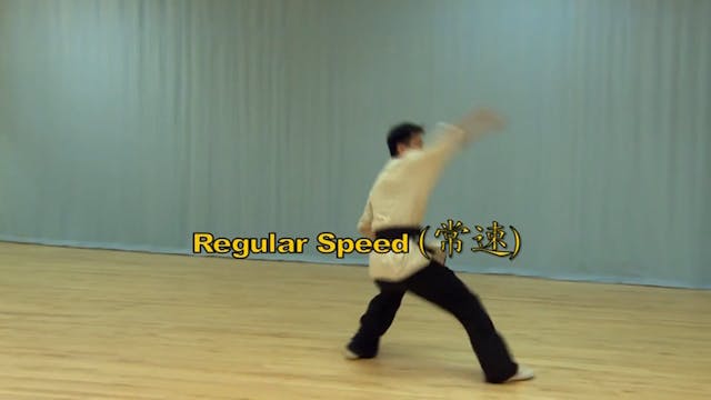 Shaolin Kung Fu Long Fist Int - 27