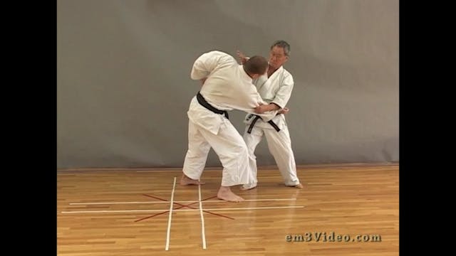 Shinshin Mugendo Art of Total Fightin...