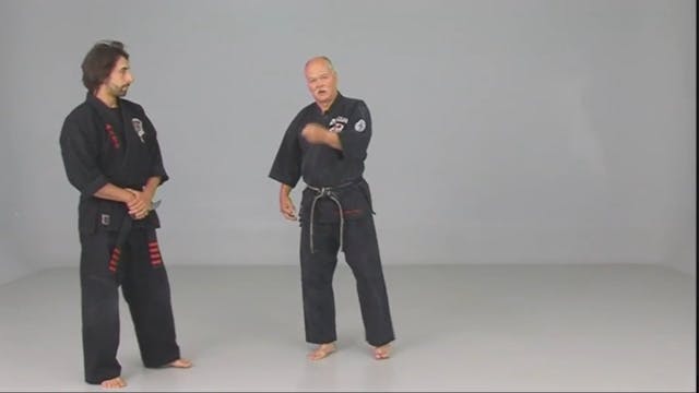 Kenpo Golden Rules by Richard Planas