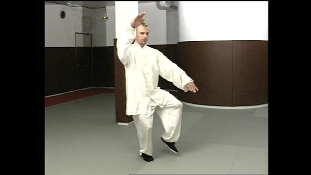 Taiji-Quan - The Original Taiji and the fighting Techniques Vol 1 DVD48