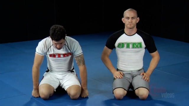 32 Turtle Marce Drill japanese