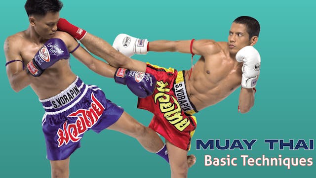 Muay Thai Basic Techniques by Christoph Delp