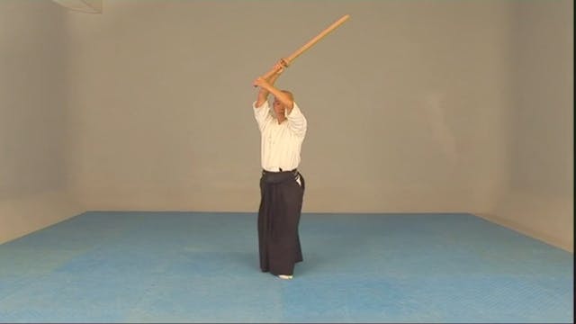 Iaido Kihon Waza by Sueyoshi Akeshi