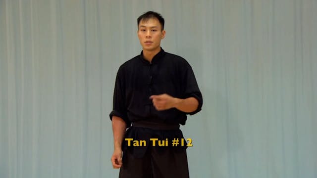 Shaolin Kung Fu Advanced 1.58