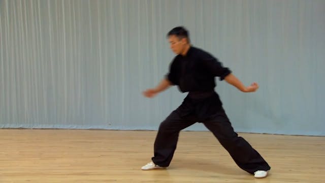 Shaolin Kung Fu Advanced 1.63