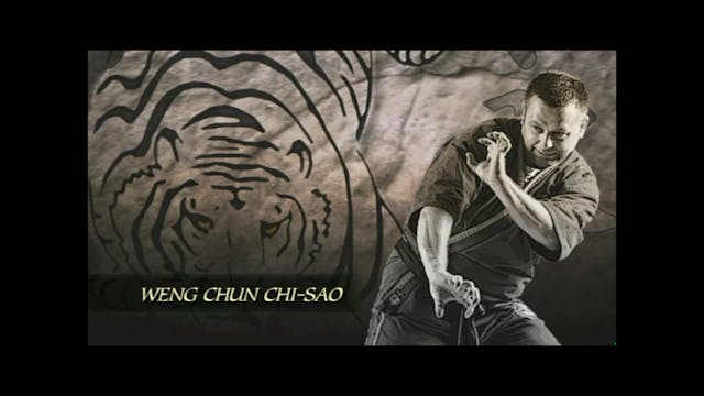 Weng Chun Kung Fu by Andreas Hoffmann