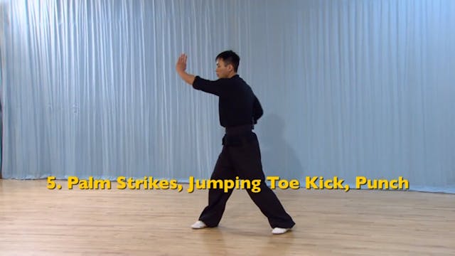 Shaolin Kung Fu Advanced 2 - 25