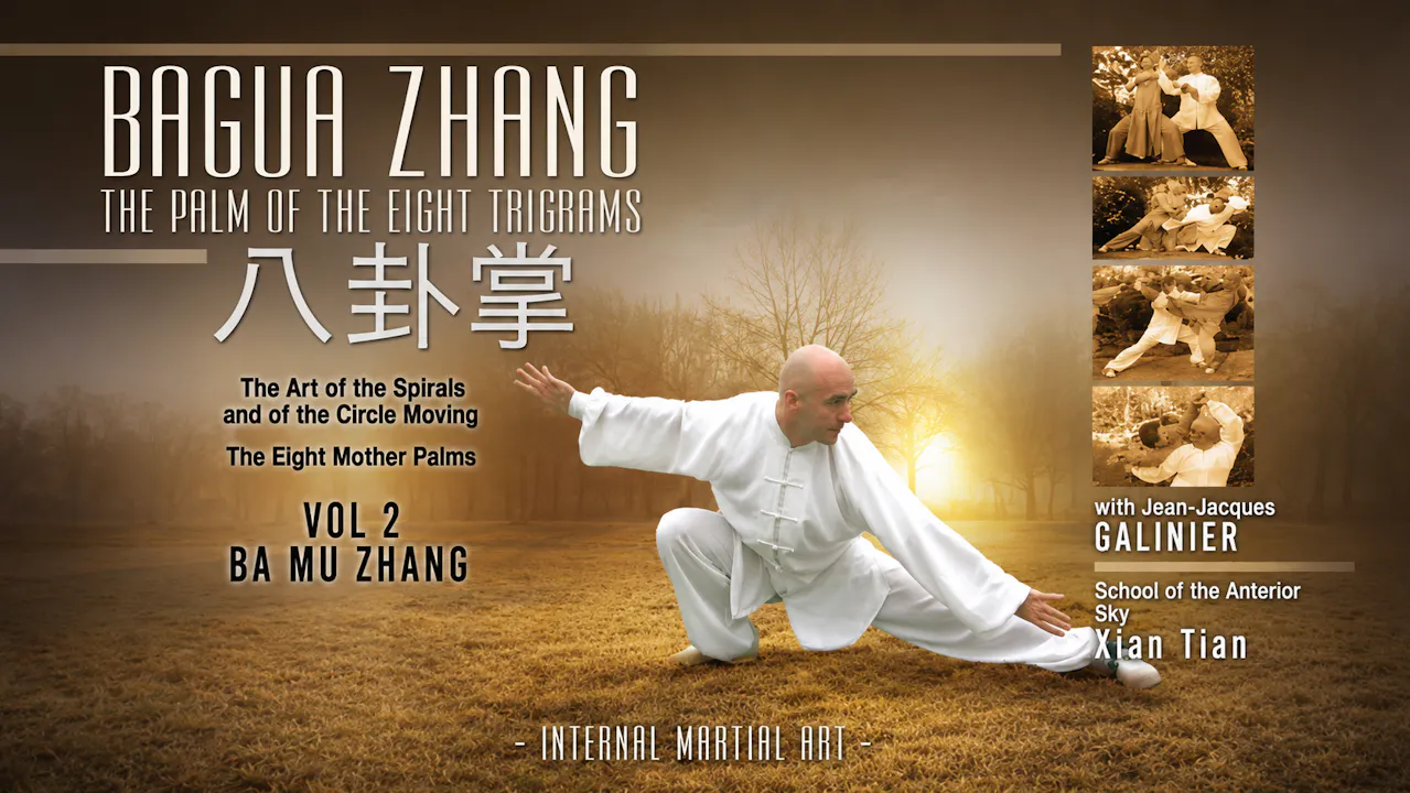 Bagua Zhang San Yuan Zhang Vol 2