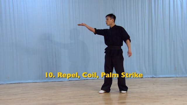 Shaolin Kung Fu Advanced 2 - 30
