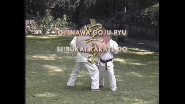 Okinawa Goju Ryu Seibukai Karate with Kinei Nakasone