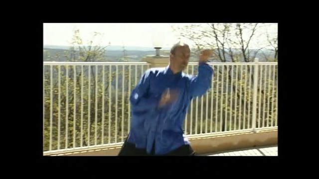 Taiji Quan - The 12 ancient Energy Fight Techniques from Yang Style Vol 2 DVD139