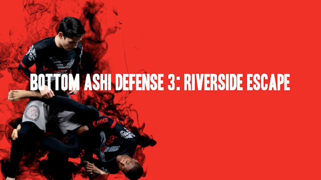 16 - Imanari Series Japanese