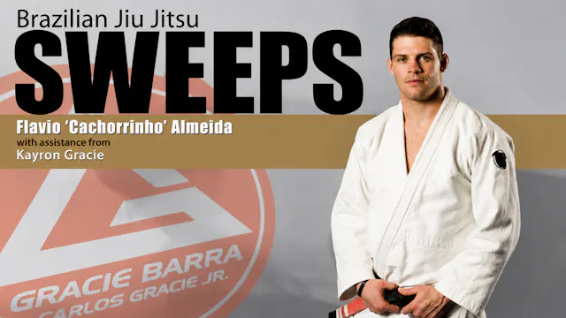 BJJ Sweeps by Flavio Almeida