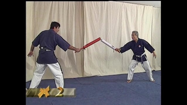 Yoseikan Budo with Hiroo Mochizuki