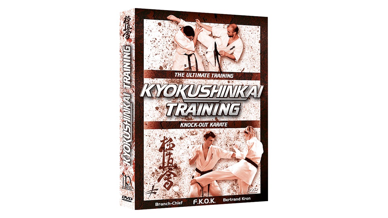 Kyokushinkai Karate Training by Bertrand Kron