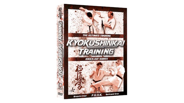 Kyokushinkai Karate Training by Bertrand Kron