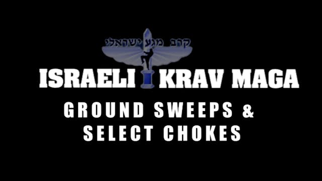 Krav Maga Combatives 3.4