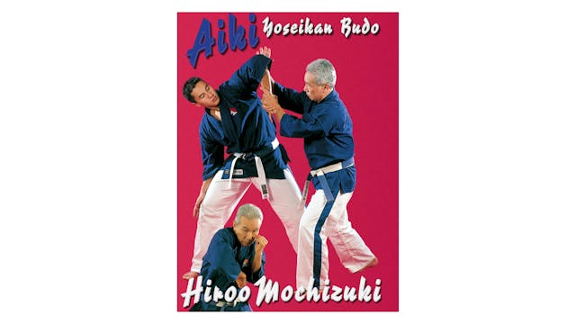 Aiki Yoseikan Budo with Hiroo Mochizuki