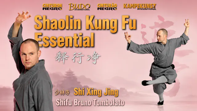 Essential Shaolin Kung Fu by Bruno Tombolato