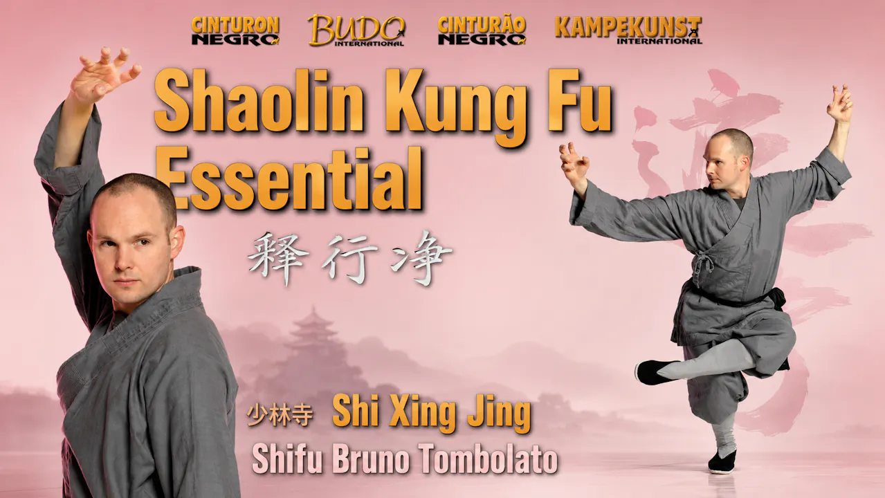 Essential Shaolin Kung Fu by Bruno Tombolato
