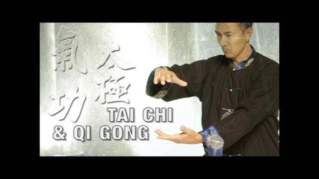 Tai Chi & Chi Gong Forms by Vincent Lyn