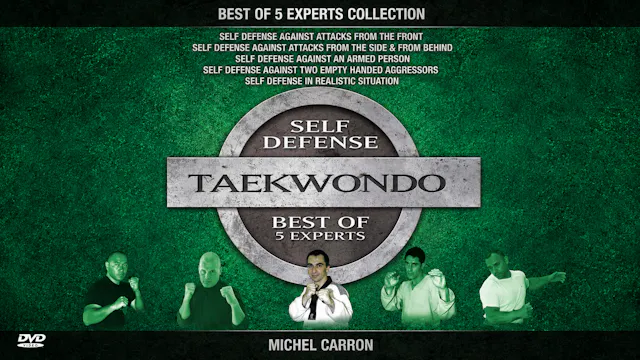 Best Taekwondo by Michel Carron