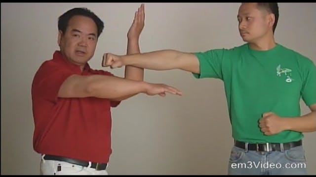 Fundamental Wing Chun Kung Fu by Allan Lee