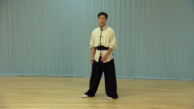 Shaolin Kung Fu Long Fist Int - 4