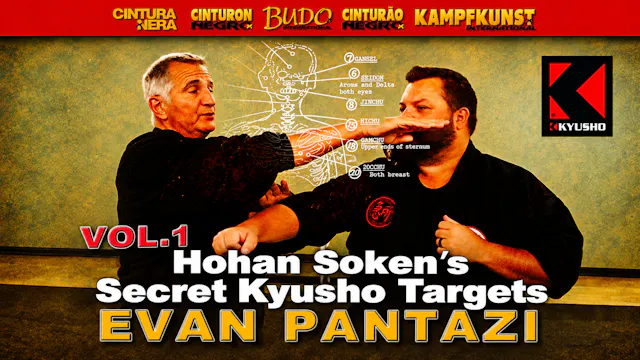 Kyusho Targets of Hohan Soken 1 Evan Pantazi