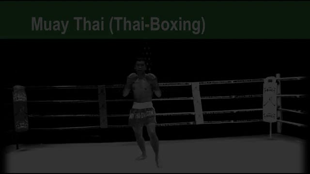 Muay Thai Basics 1 - 5 Introduction Basics