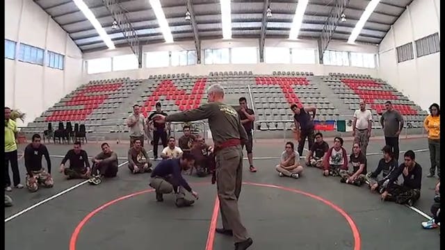 RMA Systema SV 2017 Mexico Seminar Vol 1 with Dmitry Skogorev