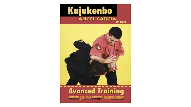 Kajukenbo Vol 3 by Angel Garcia