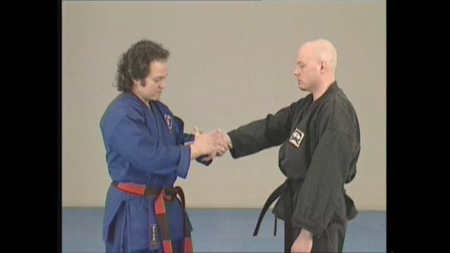 Jiu-jitsu Ryu Vol 2 with Hanspeter Ruesch