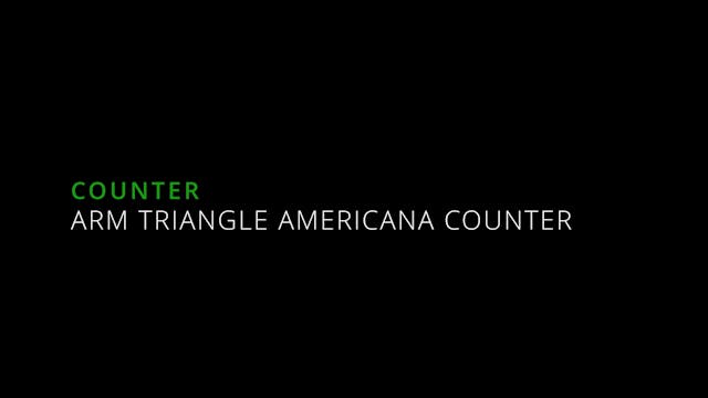 23. Arm Triangle Americana Counter - Counterattacks