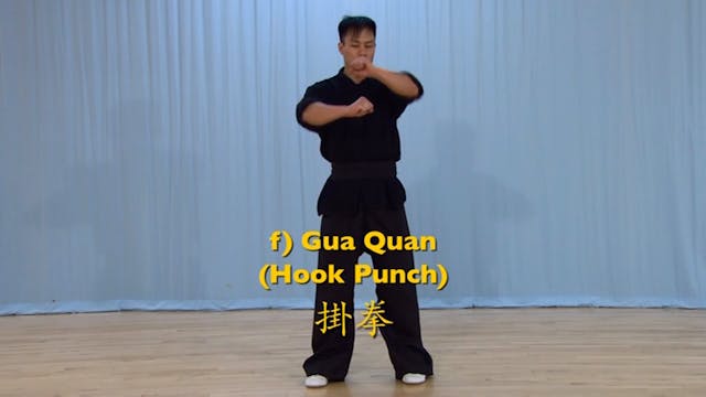 Shaolin Kung Fu Advanced 2 - 19