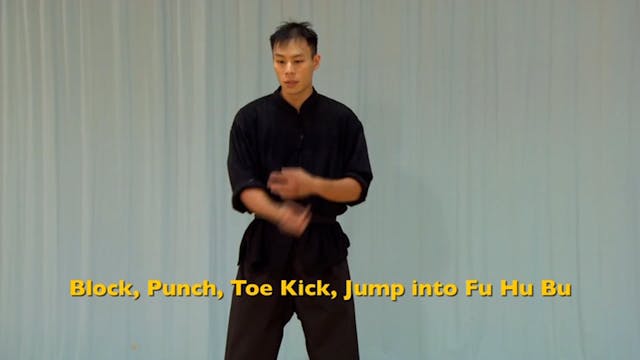 Shaolin Kung Fu Advanced 1.57