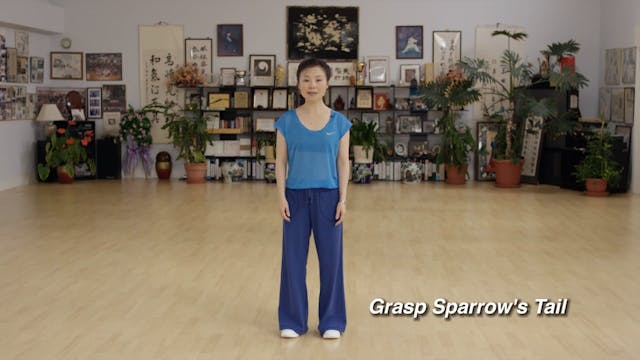 Tai Chi for Women 1.14