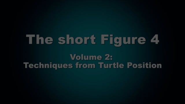 Short Figure 4 Vol 2