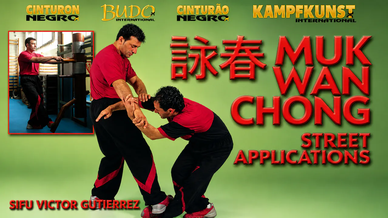 Wing Tsun Wooden Dummy Street Applications