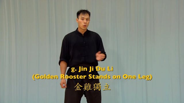 Shaolin Kung Fu Advanced 1.38