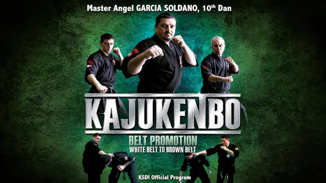 Kajukenbo Belt Promotion White Belt to Brown Belt