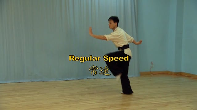 Shaolin Kung Fu Long Fist Int - 61