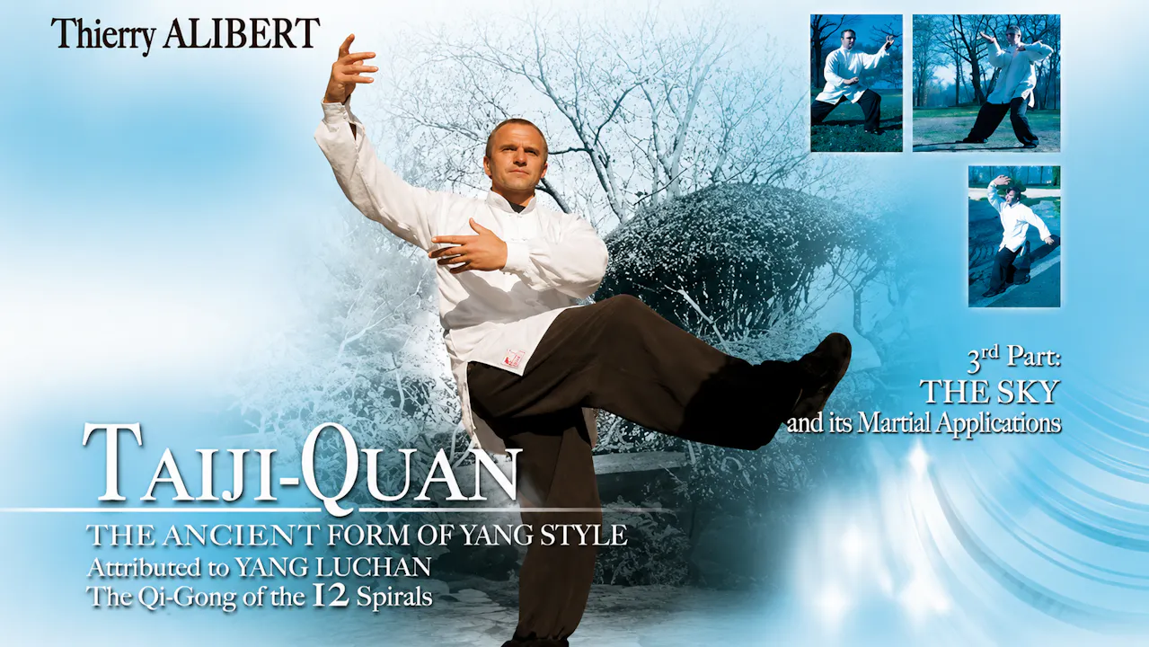 Yang Style Taiji-Quan Vol 3 by Thierry Alibert